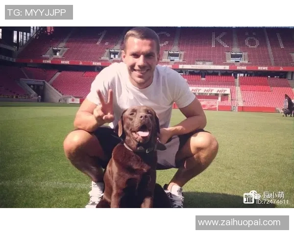 足球明星女友风采大赏精美图片展示她们的魅力与时尚